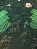 2018 Mexico World Cup Rusia Firmado Signed (L)