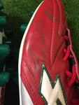 2009 Mexico Tricolor Shoes Autographed by Cuauhtemoc Blanco (N/A)