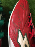 2009 Mexico Tricolor Shoes Autographed by Cuauhtemoc Blanco (N/A)