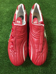 2009 Mexico Tricolor Shoes Autographed by Cuauhtemoc Blanco (N/A)