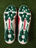 2009 Mexico Tricolor Shoes Autographed by Cuauhtemoc Blanco (N/A)