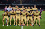 2016 Pumas Nike Central Library UNAM (L)